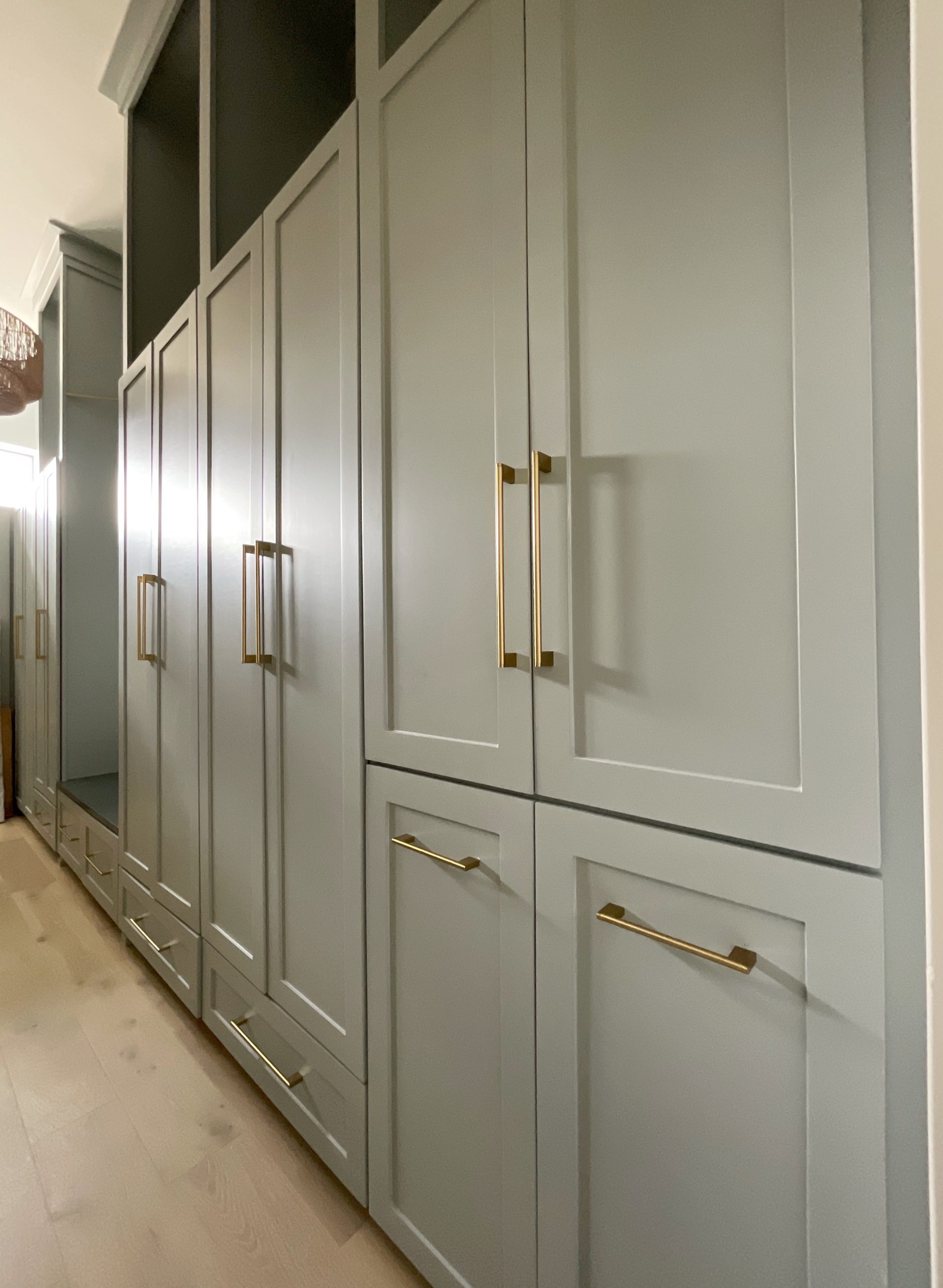 Primary Bedroom Closet with Custom Cabinets in Sherwin Williams Retreat
